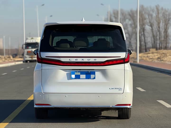 Фото 5 - Lexus LM