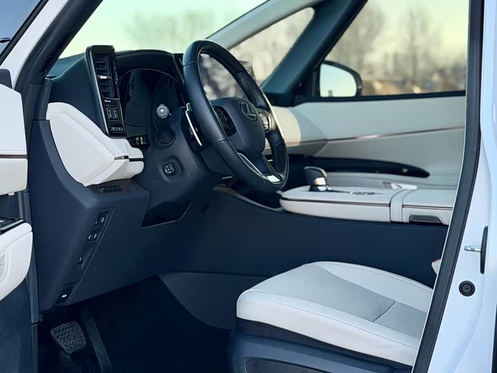 Фото 8 - Lexus LM