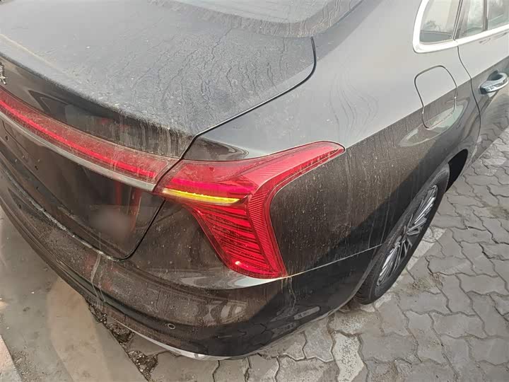 Фото 8 - Hongqi H5