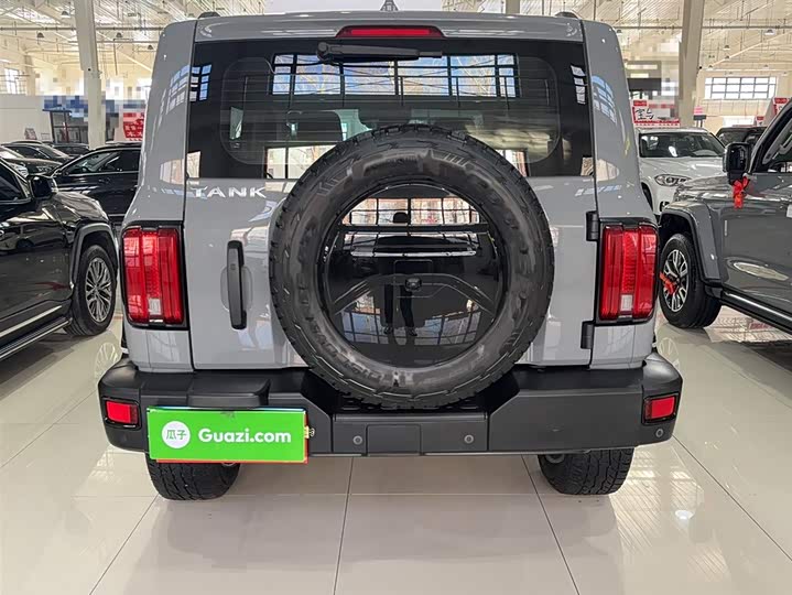 Фото 4 - Tank 300