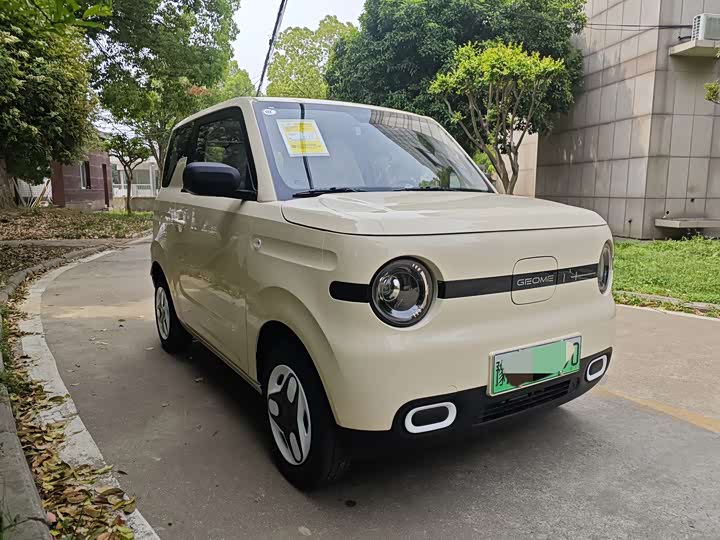 Фото 2 - Geely Galaxy Panda Mini