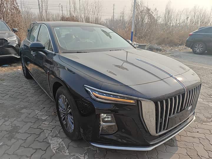 Фото 4 - Hongqi H5