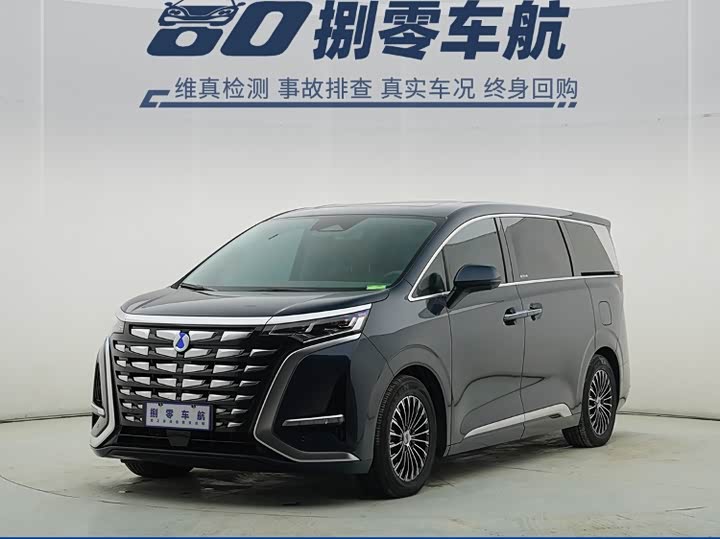 Фото 1 - Denza D9