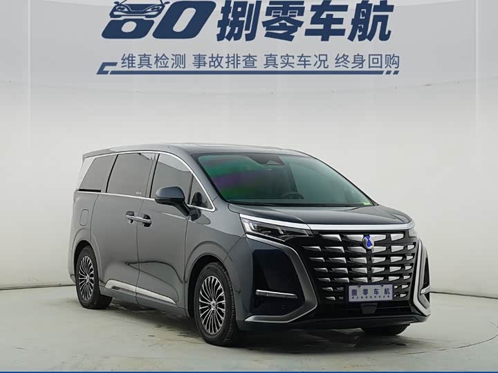 Фото 3 - Denza D9