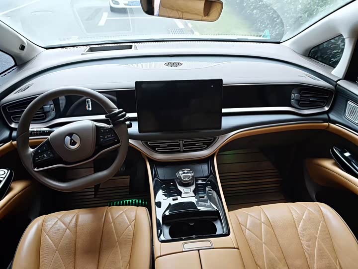 Фото 6 - Denza D9