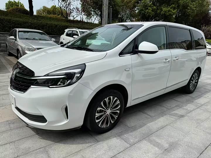 Фото 1 - Buick GL8 ES