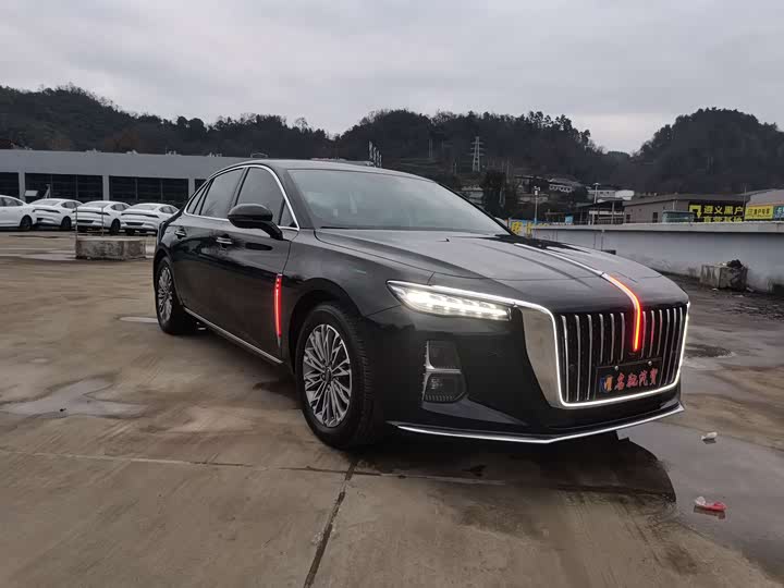 Фото 3 - Hongqi H5