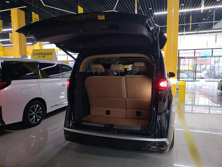 Фото 9 - Denza D9