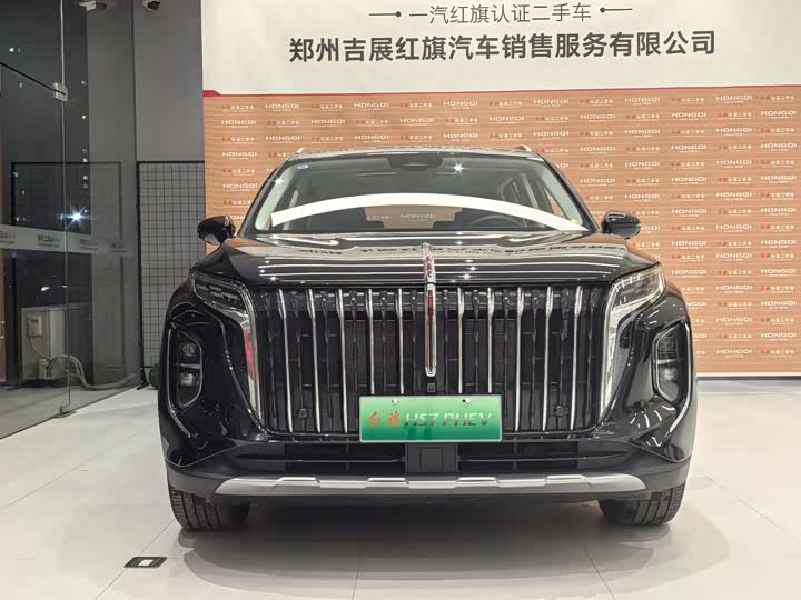 Фото 2 - Hongqi HS7 Hybrid