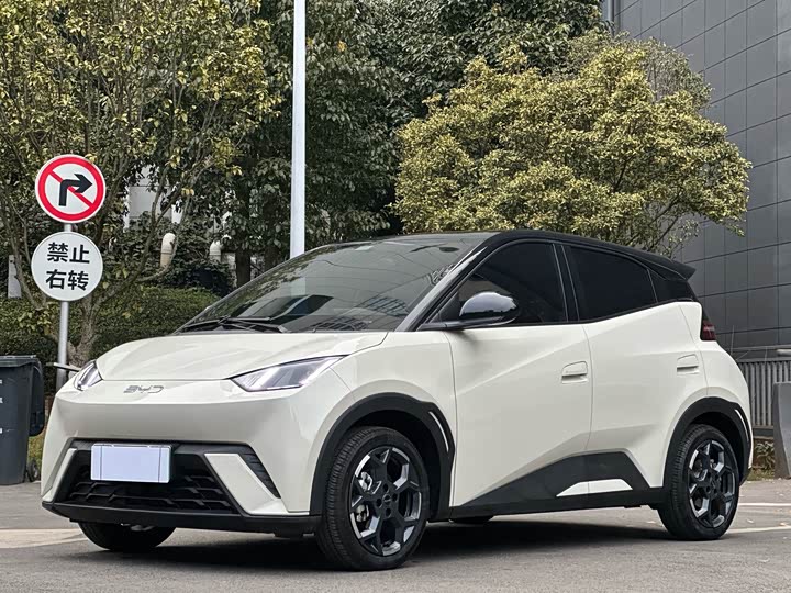 Фото 1 - BYD Seagull