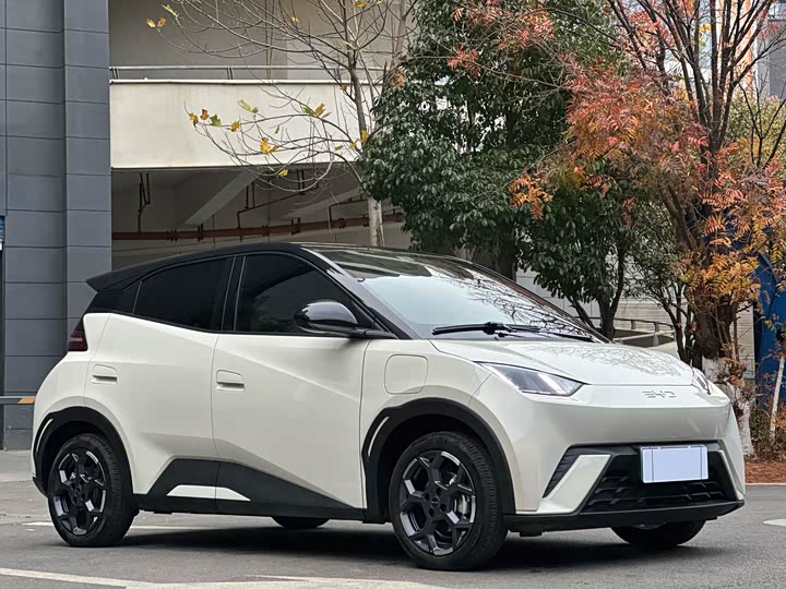 Фото 2 - BYD Seagull