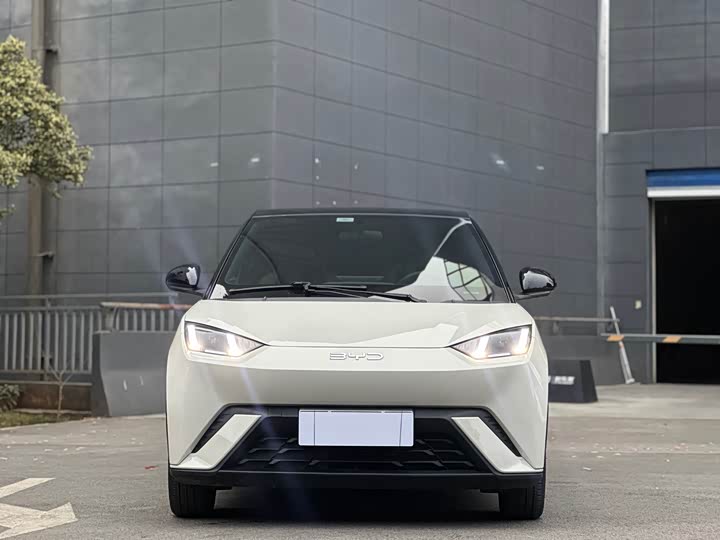 Фото 3 - BYD Seagull