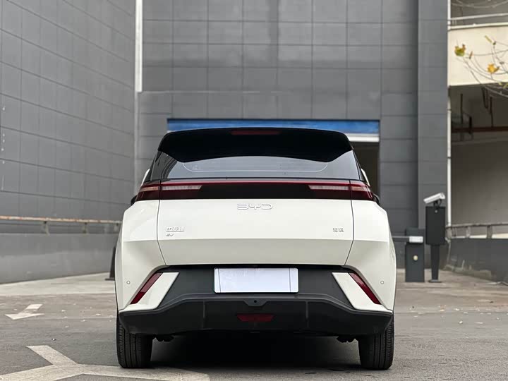 Фото 4 - BYD Seagull