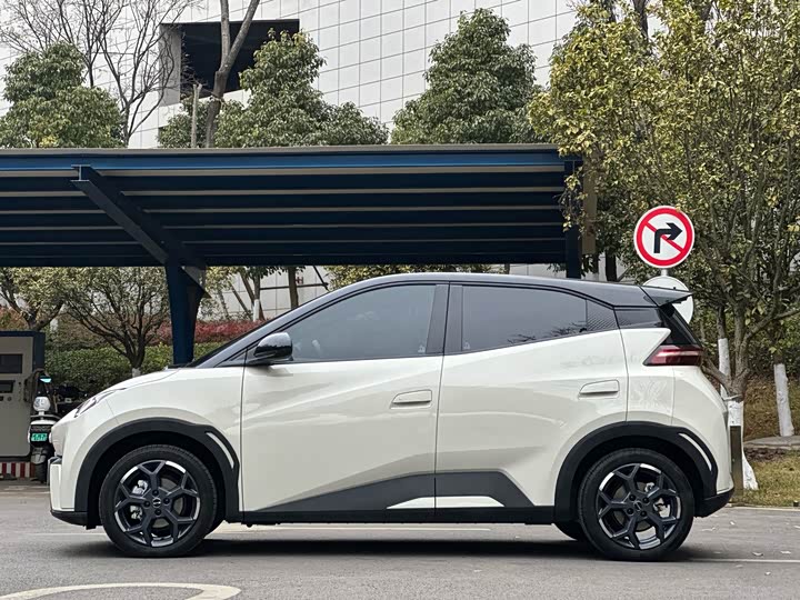 Фото 5 - BYD Seagull