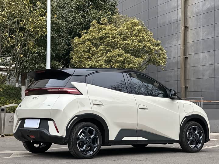 Фото 6 - BYD Seagull