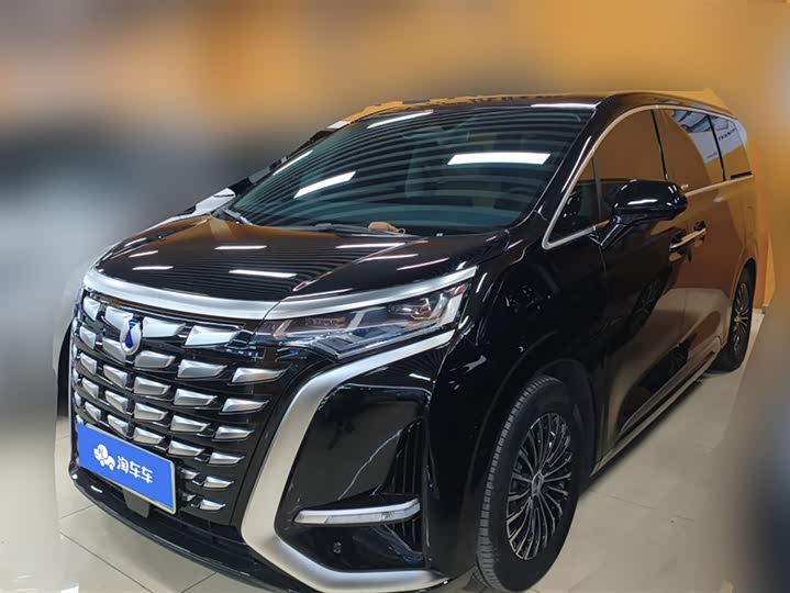 Фото 1 - Denza D9