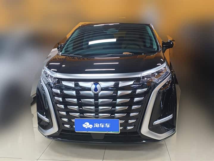 Фото 2 - Denza D9