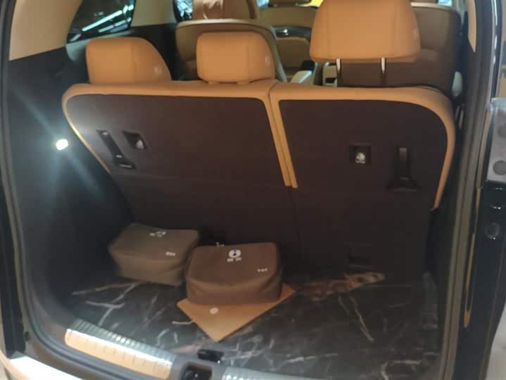 Фото 4 - Denza D9