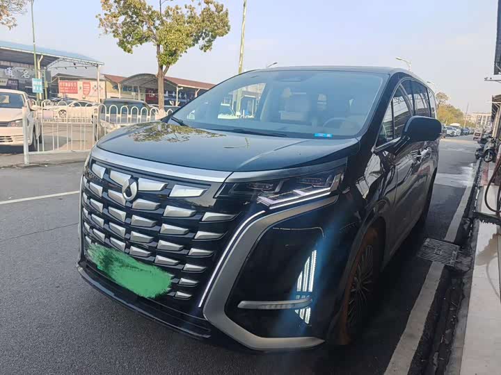 Фото 1 - Denza D9