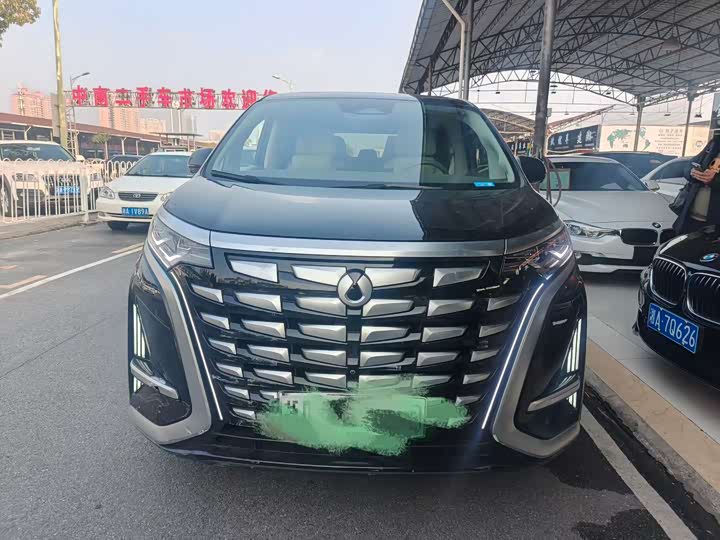 Фото 2 - Denza D9