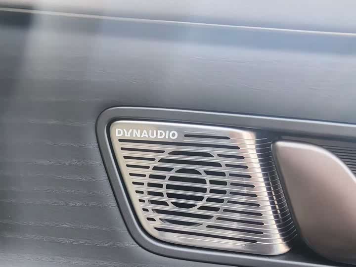 Фото 6 - Denza D9