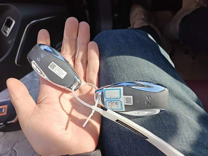 Фото 9 - Hongqi H5