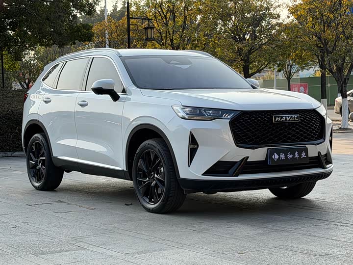 Фото 3 - Haval H6
