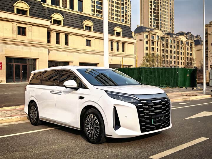 Фото 3 - BYD Xia