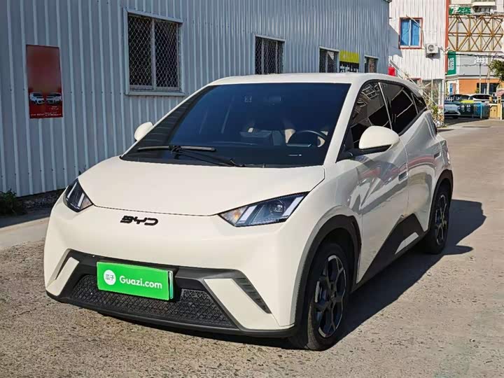 Фото 2 - BYD Seagull