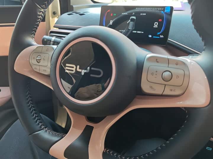 Фото 6 - BYD Seagull