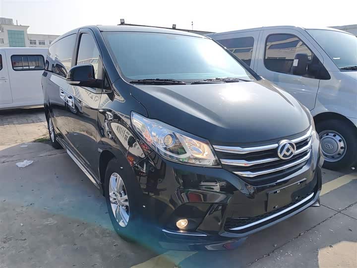 Фото 4 - Maxus G10