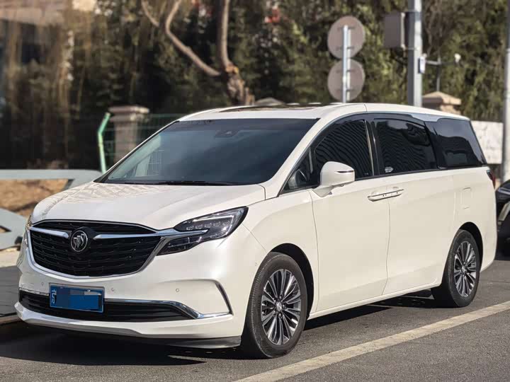 Фото 1 - Buick GL8 ES