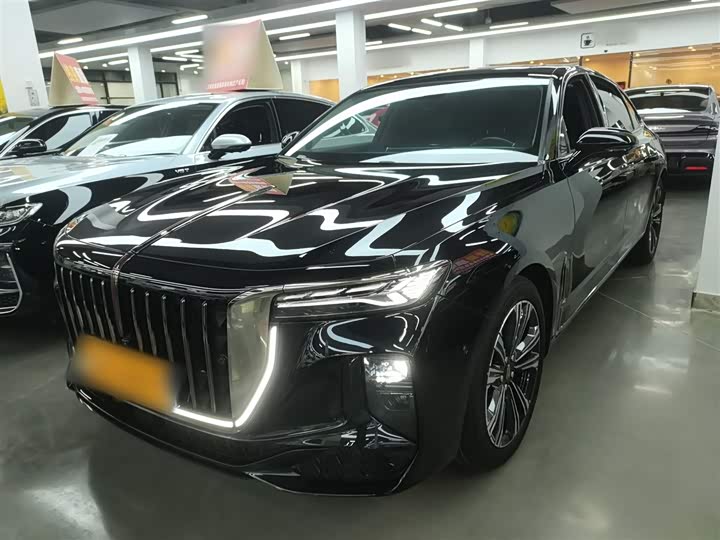 Фото 2 - Hongqi H9