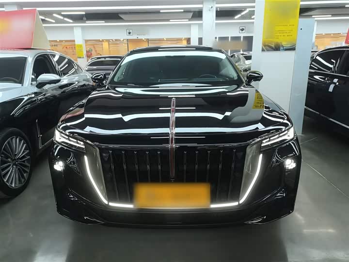 Фото 3 - Hongqi H9