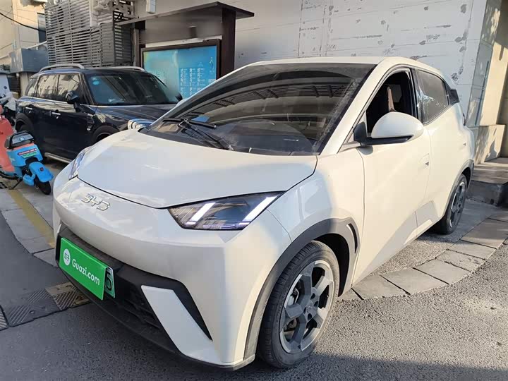 Фото 2 - BYD Seagull