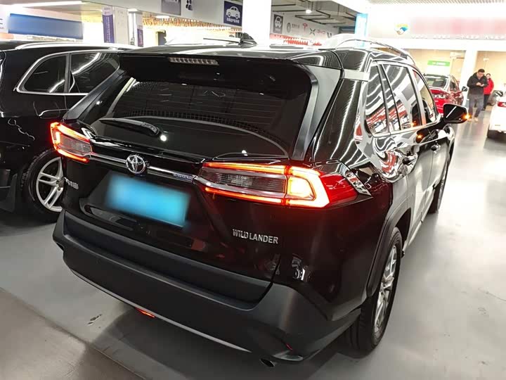 Фото 7 - Toyota Wildlander