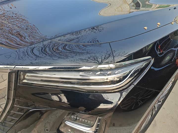 Фото 5 - Hongqi H5