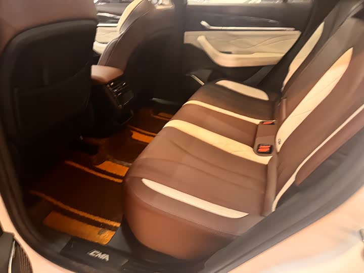 Фото 4 - Geely Monjaro