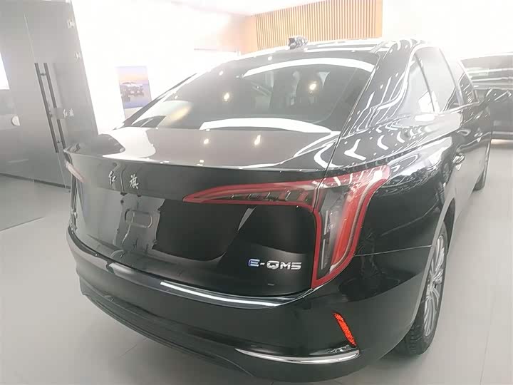Фото 6 - Hongqi E-QM5