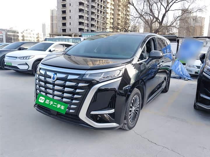 Фото 1 - Denza D9