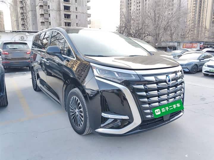 Фото 4 - Denza D9