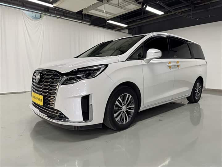 Фото 1 - Buick GL8 ES