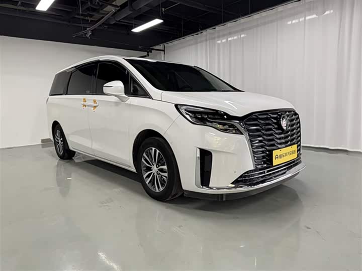 Фото 4 - Buick GL8 ES