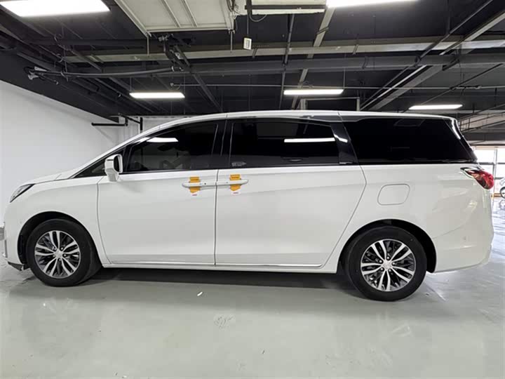 Фото 5 - Buick GL8 ES