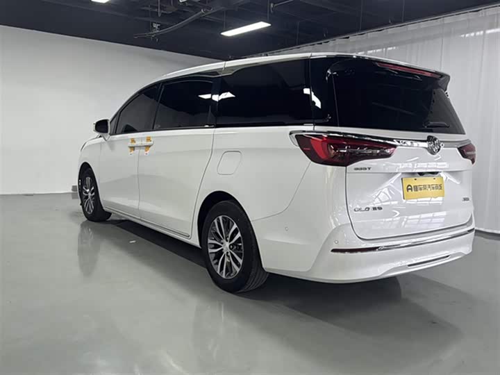 Фото 6 - Buick GL8 ES