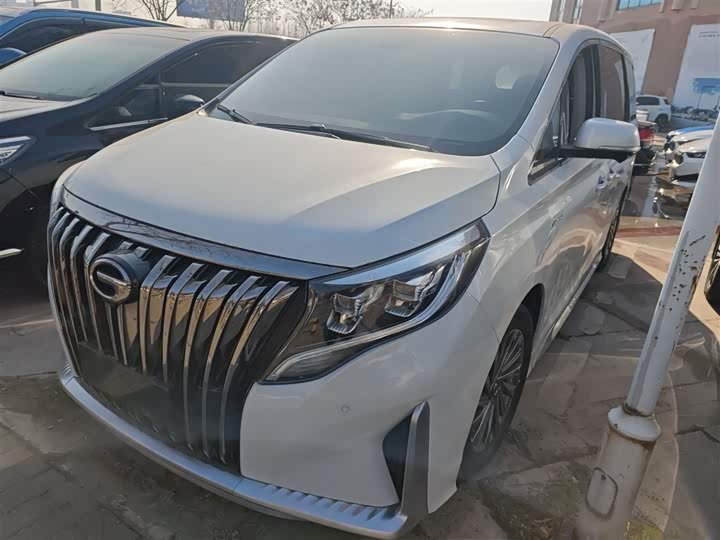 Фото 1 - GAC Trumpchi M8