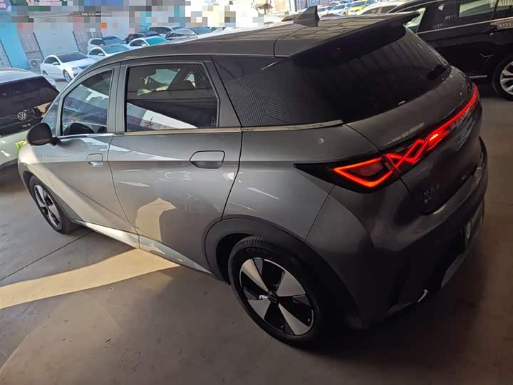 Фото 5 - BYD Dolphin