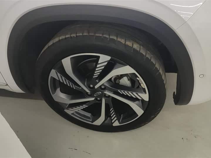 Фото 6 - Geely Monjaro