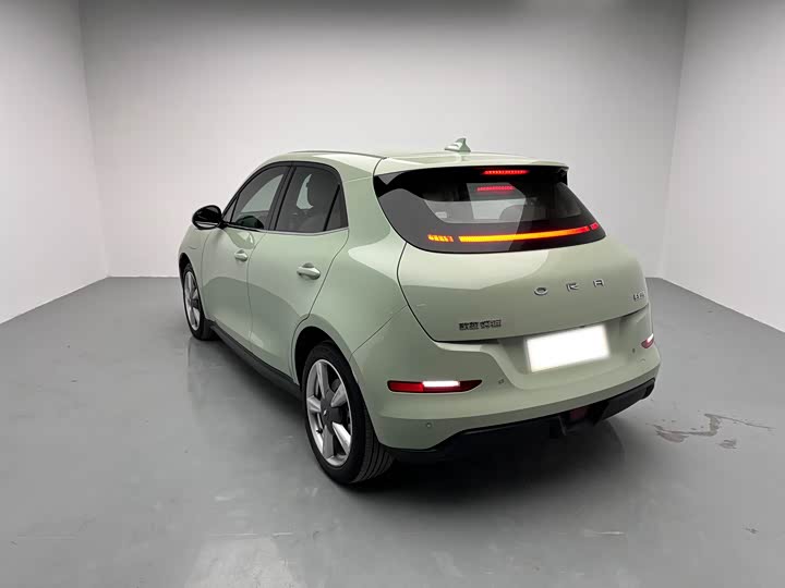 Фото 6 - Ora Good Cat (03)