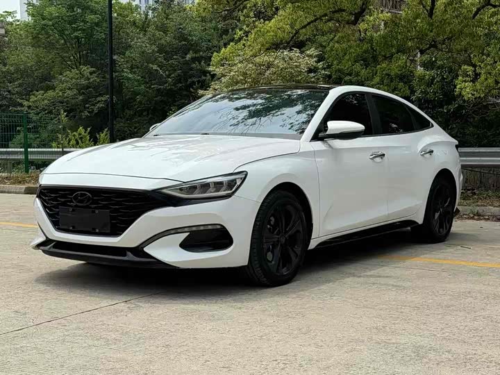 Фото 1 - Hyundai Lafesta